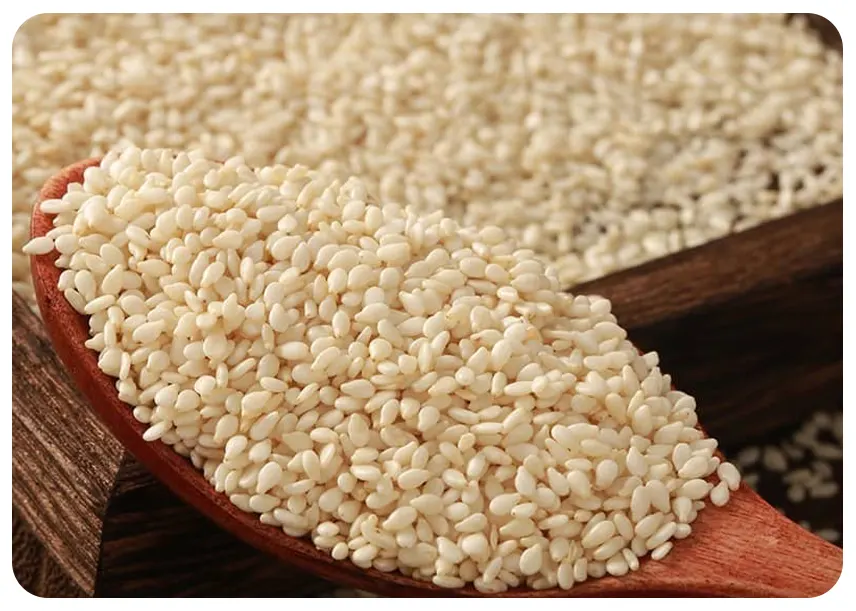 داخلی مقاله (1)