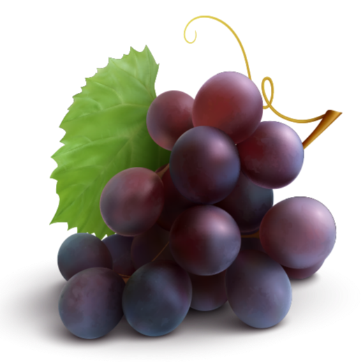 خرید شیره انگور اردکان (یزد) با قیمت کارخانه 