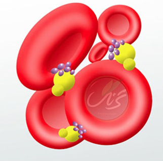اسید های چرب غیر اشباع